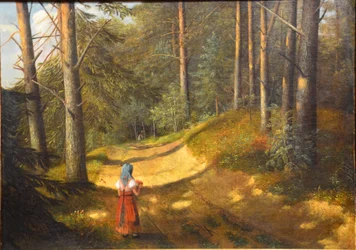 Forest Landscape